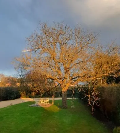 Montigny House And Antiques Bed & Breakfast