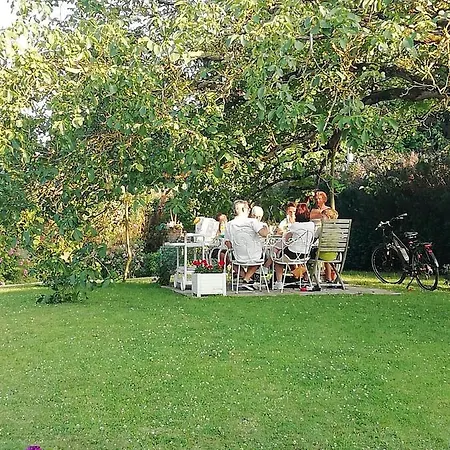 Montigny House And Antiques